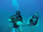 Hawaii Scuba divng 24