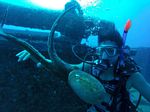 Hawaii Scuba divng 29