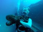 Hawaii Scuba divng 30