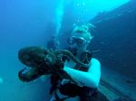 Hawaii Scuba divng 30