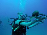 Hawaii Scuba divng 34