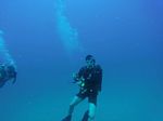 Hawaii Scuba divng 36