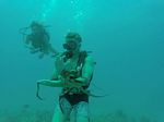 Hawaii Scuba divng 45