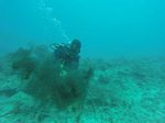 Hawaii Scuba divng 04