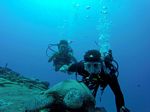 Hawaii Scuba divng 51