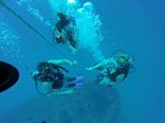 Hawaii Scuba divng 56