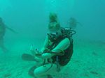 Hawaii Scuba divng 63