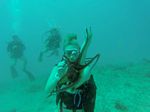 Hawaii Scuba divng 69