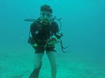 Hawaii Scuba divng 78