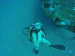 Hawaii Scuba divng 85