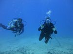 Hawaii Scuba divng 14