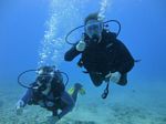 Hawaii Scuba divng 16