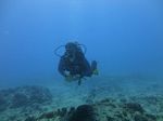 Hawaii Scuba divng 18