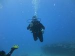 Hawaii Scuba divng 19