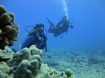 Hawaii Scuba divng 27