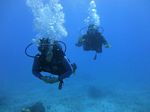 Hawaii Scuba divng 29