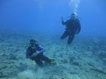 Hawaii Scuba divng 30