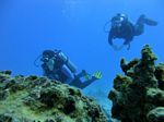 Hawaii Scuba divng 31