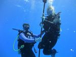 Hawaii Scuba divng 37