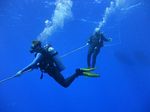 Hawaii Scuba divng 05