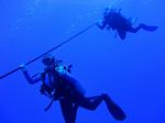 Hawaii Scuba divng 13