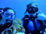 Hawaii Scuba divng 17