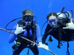 Hawaii Scuba divng 01