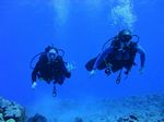 Hawaii Scuba divng 28