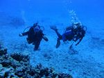 Hawaii Scuba divng 31