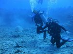 Hawaii Scuba divng 34