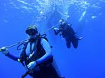 Hawaii Scuba divng 35