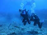 Hawaii Scuba divng 36