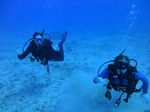 Hawaii Scuba divng 39