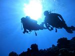 Hawaii Scuba divng 40