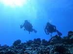 Hawaii Scuba divng 41