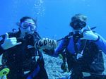 Hawaii Scuba divng 42