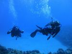 Hawaii Scuba divng 43