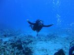 Hawaii Scuba divng 44