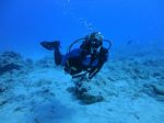 Hawaii Scuba divng 45