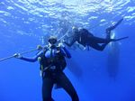 Hawaii Scuba divng 46