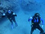 Hawaii Scuba divng 51