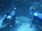 Hawaii Scuba divng 54