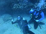 Hawaii Scuba divng 56