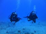 Hawaii Scuba divng 56