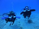 Hawaii Scuba divng 58