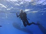 Hawaii Scuba divng 61