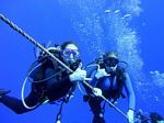 Hawaii Scuba divng 63