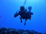 Hawaii Scuba divng 06