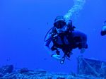 Hawaii Scuba divng 76