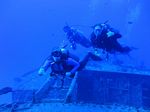 Hawaii Scuba divng 77